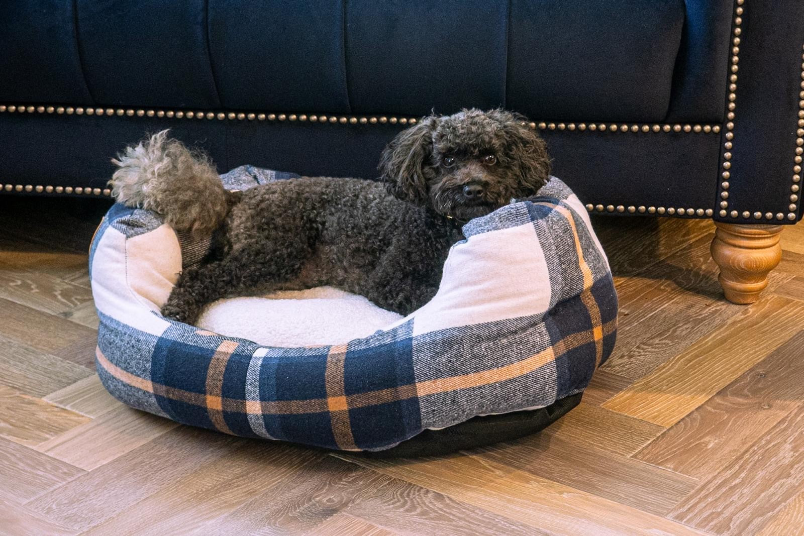 Comfortable dog bed NZ