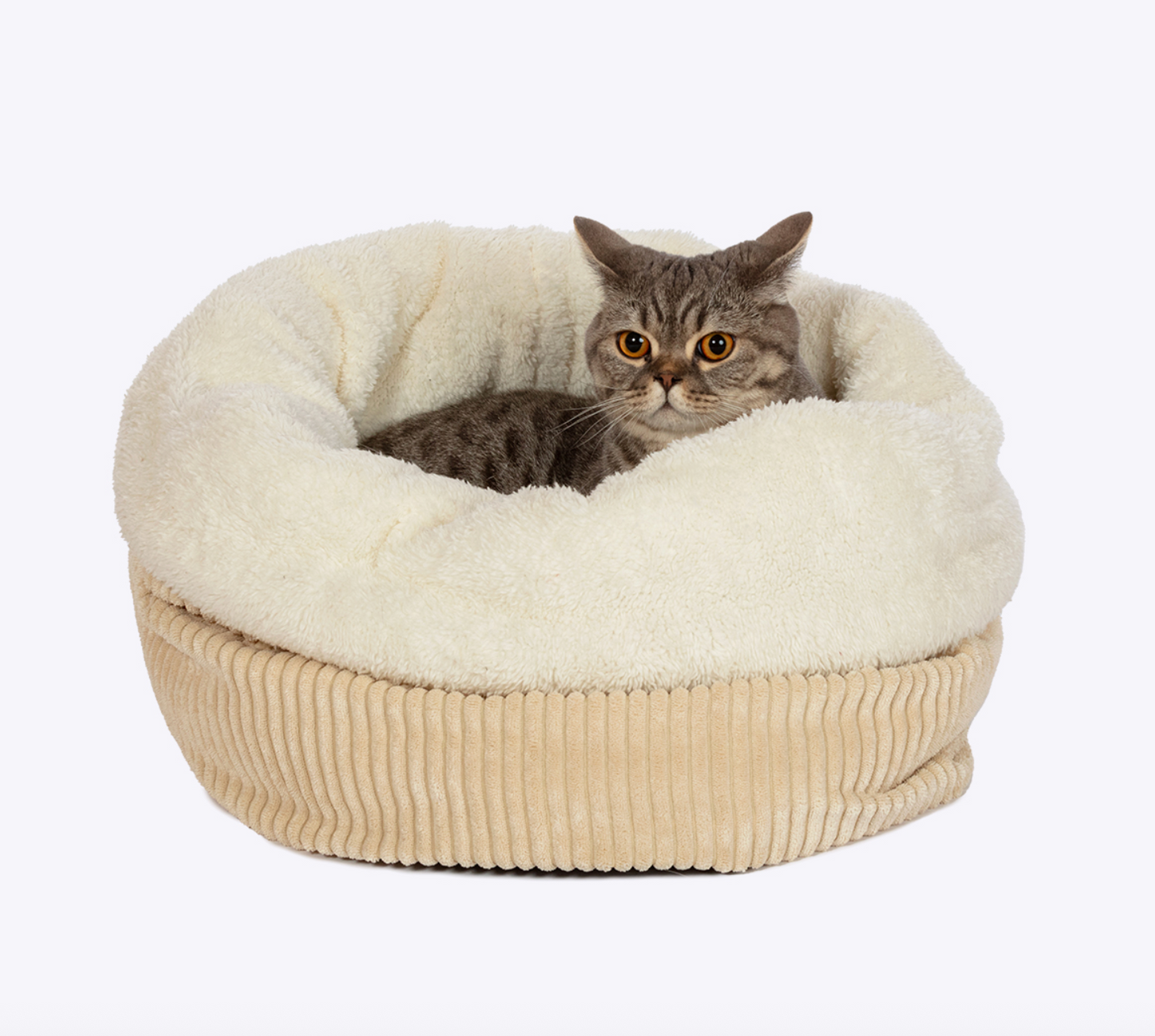 Cosy cat beds NZ