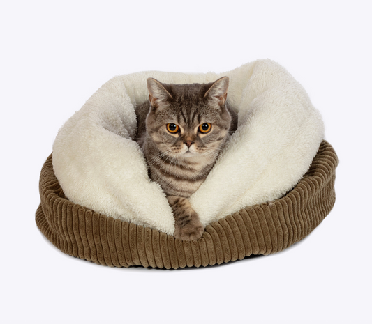 Cosy cat retreat NZ