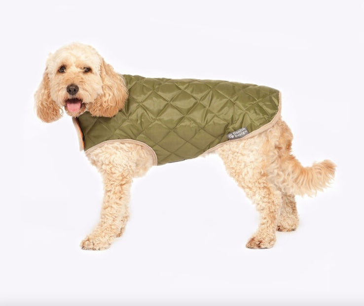Shower proof outer fabric quilted dog coat