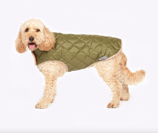 Shower proof outer fabric quilted dog coat