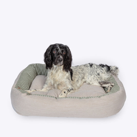 Best quality dog bed NZ