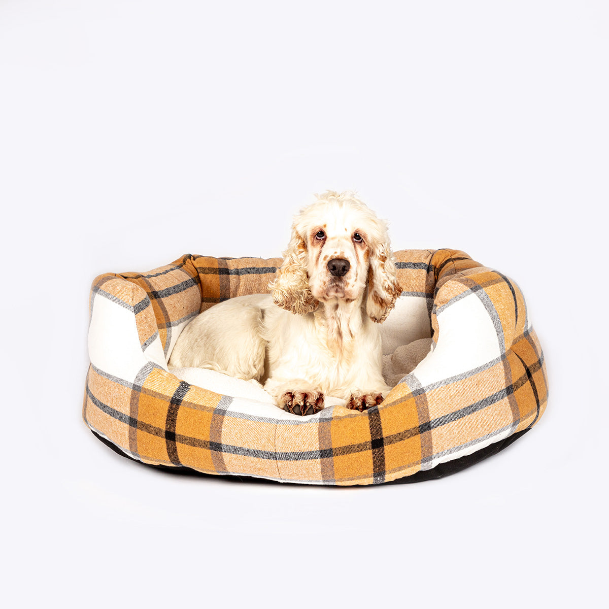 Long lasting dog bed NZ