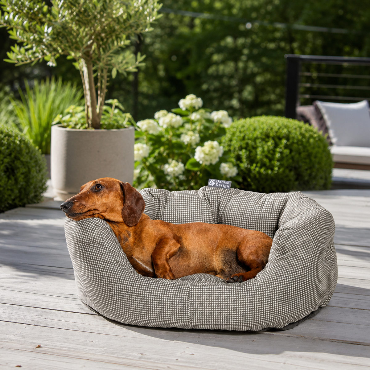 Designer dog beds NZ