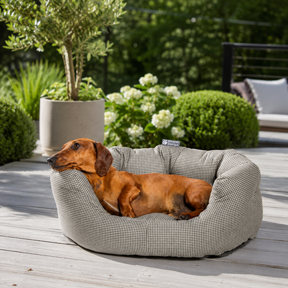 Designer dog beds NZ