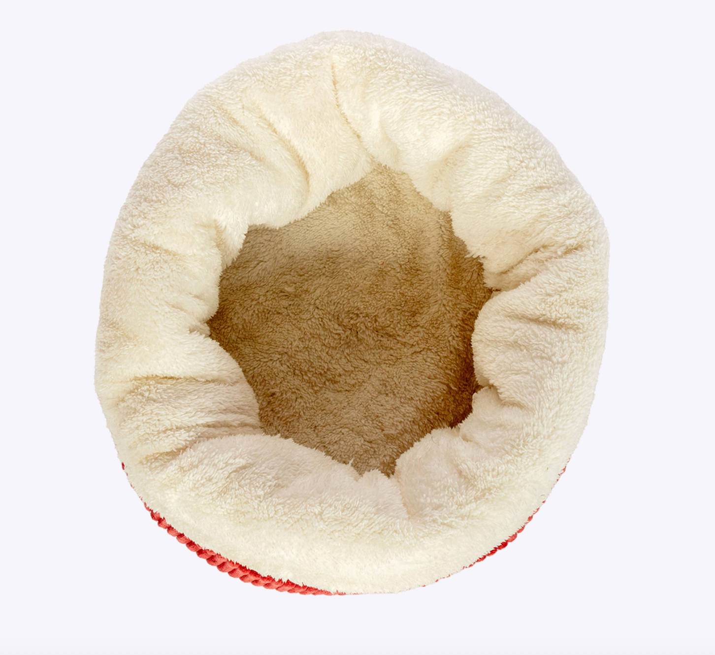 small dog nest Auckland