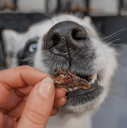 Made in New Zealand Goat Tripe is crunchy and good for your dogs oral health.