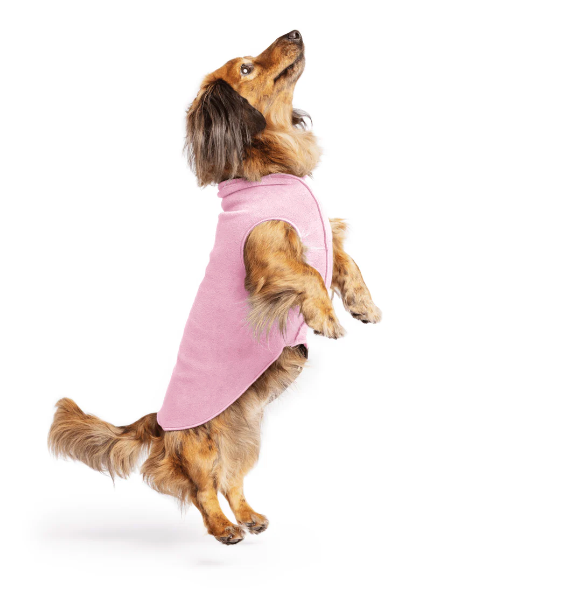 Dog sweater. NZ