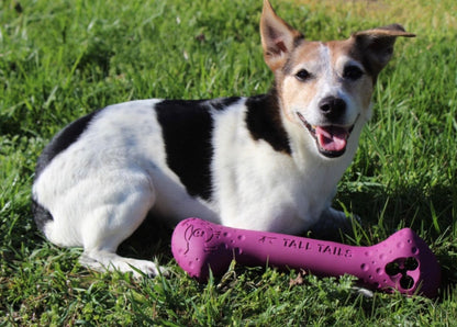 Treat hiding dog toy