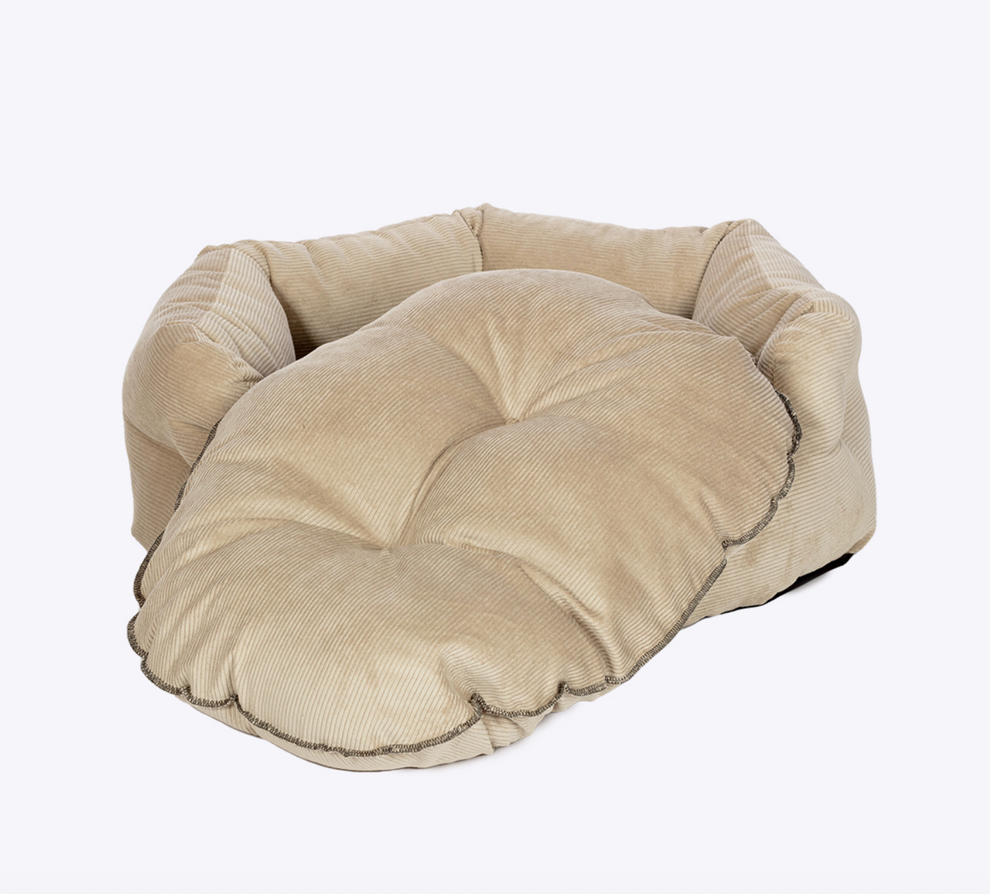 Durable dog bed NZ