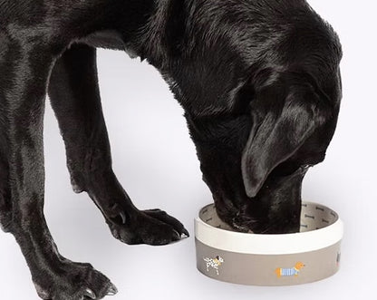 Ceramic dog bowl