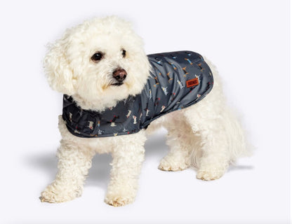 Small dog wearing the FatFace Dog Raincoat