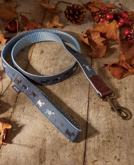 Cute Fatface dog lead