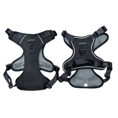 Louis and Phoebe Fully Adjustable Flexi-Fit dog harness.