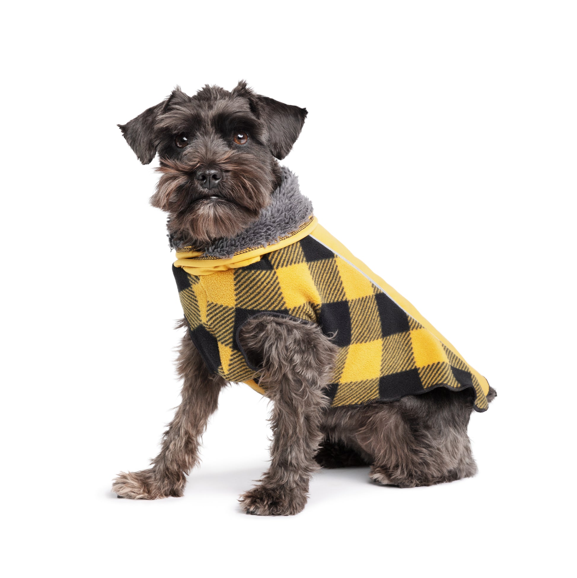 Warm dog jersey for winter NZ