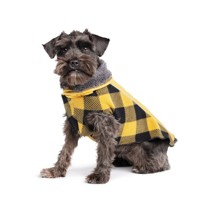 Warm dog jersey for winter NZ