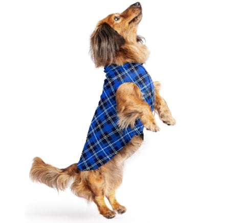 Small dog wearing a Stretch Fleece pullover for winter. Auckland New Zealand