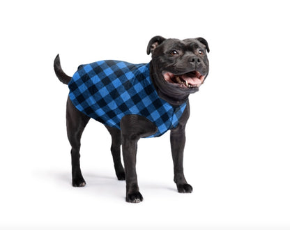 Staffy wearing the Buffalo Blue stretch fleece dog coat.