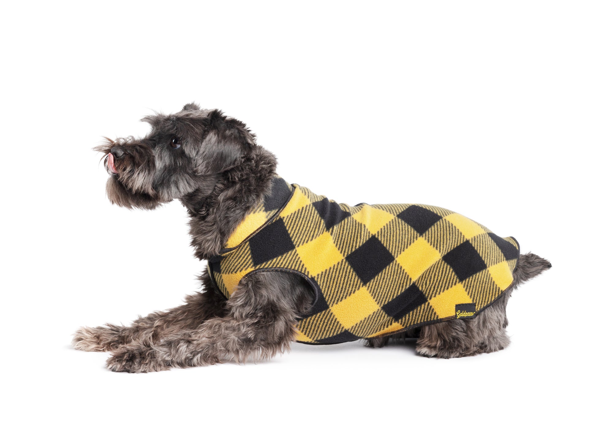 Stretch dog coat Buffalo Gold