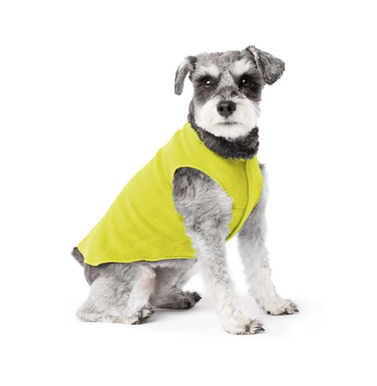 winter dog fleece NZ