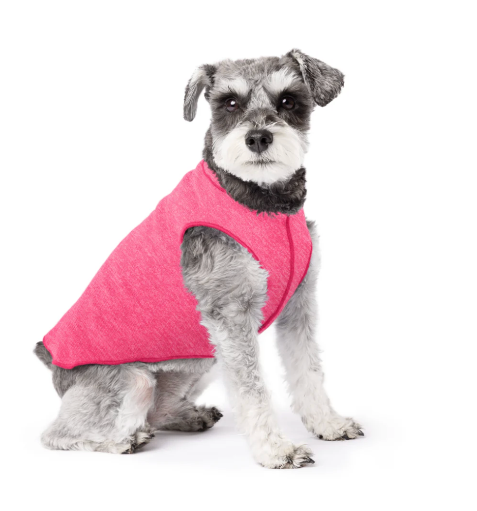 Schnauzer wearing the Sun Shield Tee Flamingo