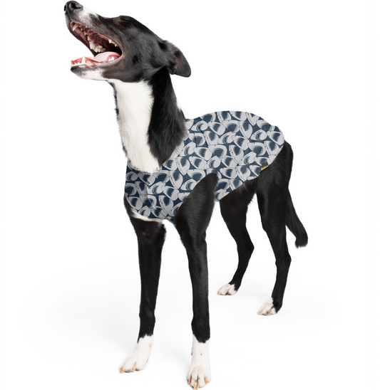 Dog wearing a GoldpawSun Tee Sharks