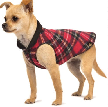 Small dog wearing the Duluth Stretch Fleece
