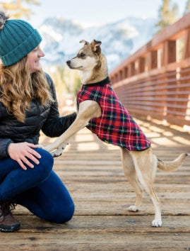 Small dog wearing the Duluth Double stretch Fleece