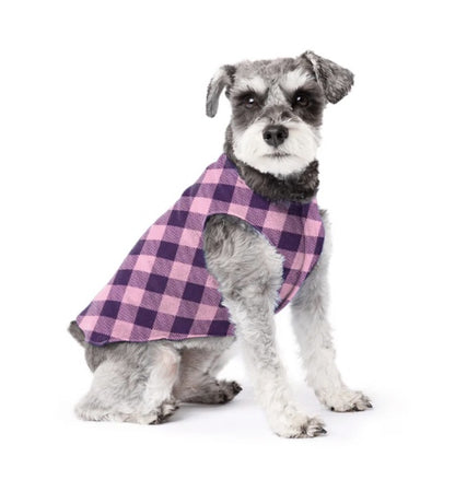 Schnauzer wearing a Buffalo Check Rose Fleece for warmth New Zealand