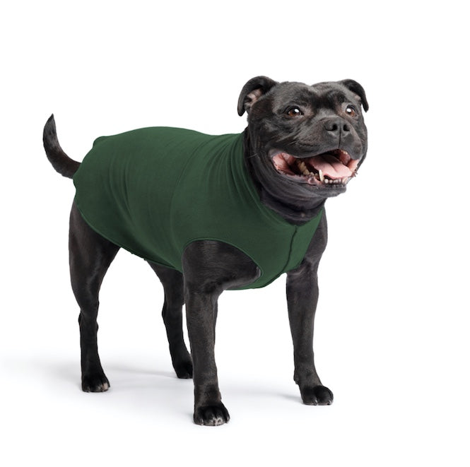 Staffordshire Bull Terrier wearing a Hunter Green Stretch Fleece size 18