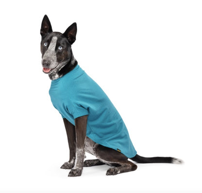 Large dog wearing the lagoon Blue Merino. New Zealand