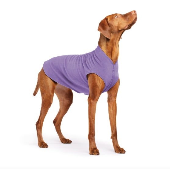 Vizsla wearing the Lavender Goldpaw Stretch Fleece.