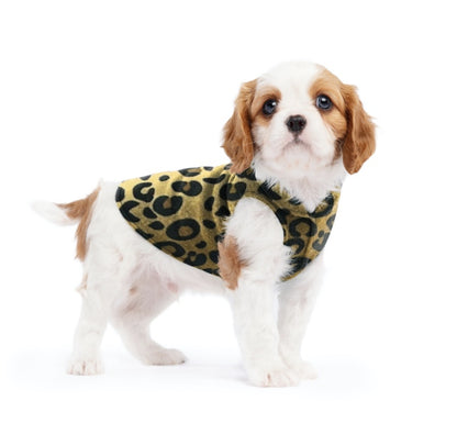Small dog wearing the Leopard stretch fleece. New Zealand