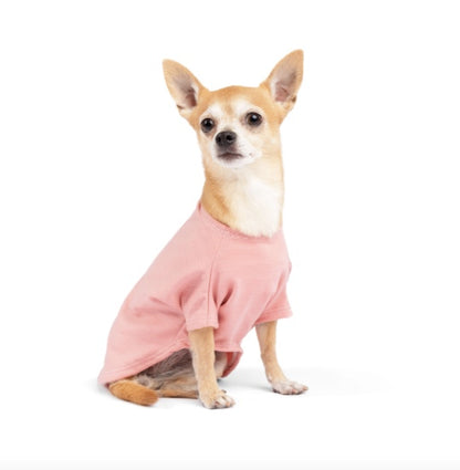 Chihuahua wearing the pink Merino Crew dog top.