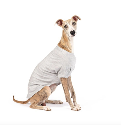 Gorgeous quality Merino tops for dogs