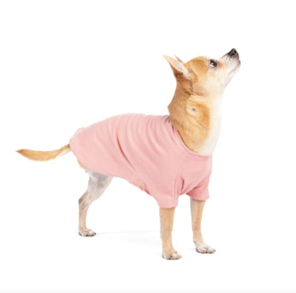 Merino dog coat New Zealand