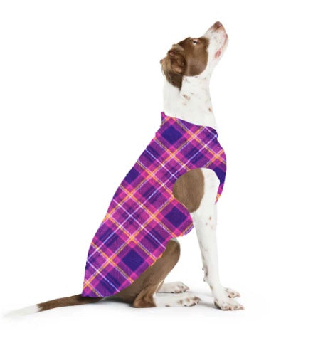 Dog wearing a purple plaid coat on a white background New Zealand