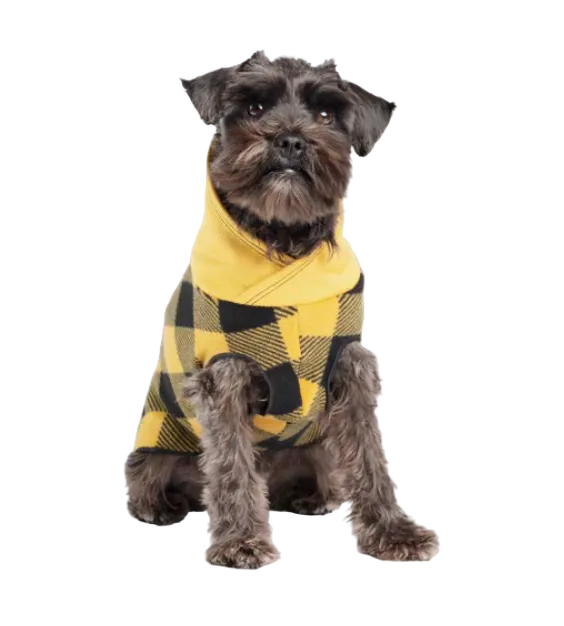 Warm Dog jacket NZ
