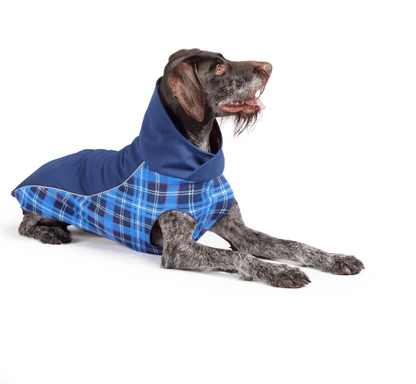 Dog jumper NZ