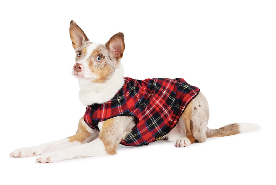 Dog wearing a Red Plaid stretch Fleece dog coat Auckland NZ