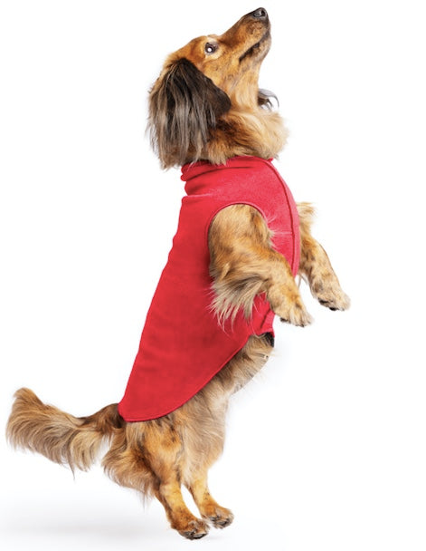 Dog wearing a red stretch fleece from Louis and Phoebe Auckland New Zealand