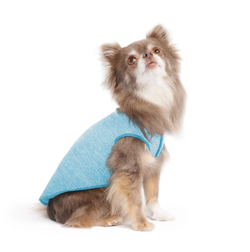 Small dog wearing a Sun Shield Tee Ocean