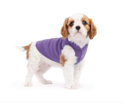 Small dog wearing the Lavender Goldpaw Stretch Fleece.