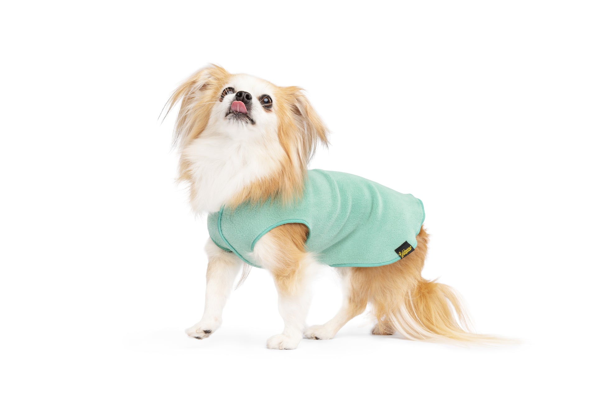 Soft winter dog wear Auckland