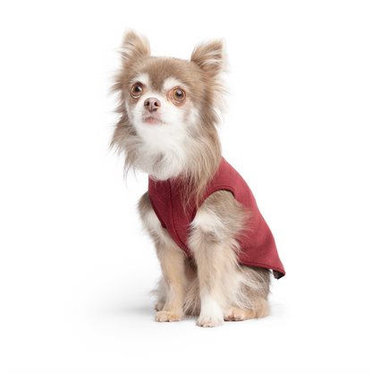 Warm dog clothes NZ