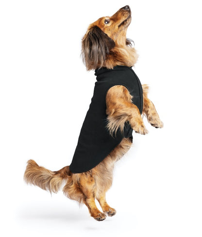 Little Dachshund showing how well the Goldpaw Stretch Fleece fits