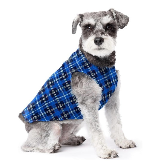 Schnauzer wearing the stretch fleece pullover New Zealand