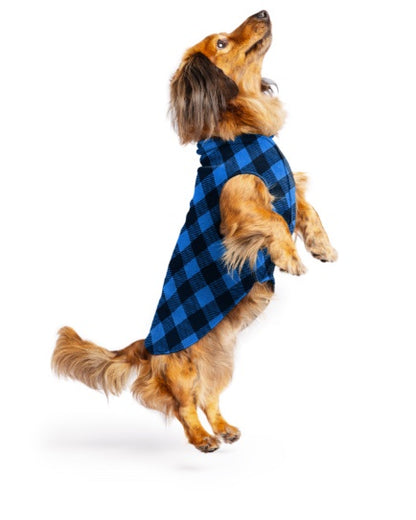 Dog wearing the Buffalo Blue Goldpaw Stretch Fleece for dogs Auckland