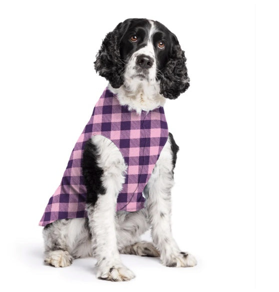 Spaniel wearing a Stretch Fleece Buffalo Check Rose New Zealand