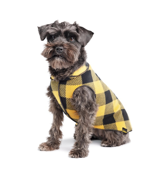 Schnauzer wearing the Buffalo Gold Stretch Fleece